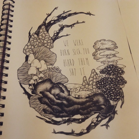 11049430_723579147758502_1035023409_n