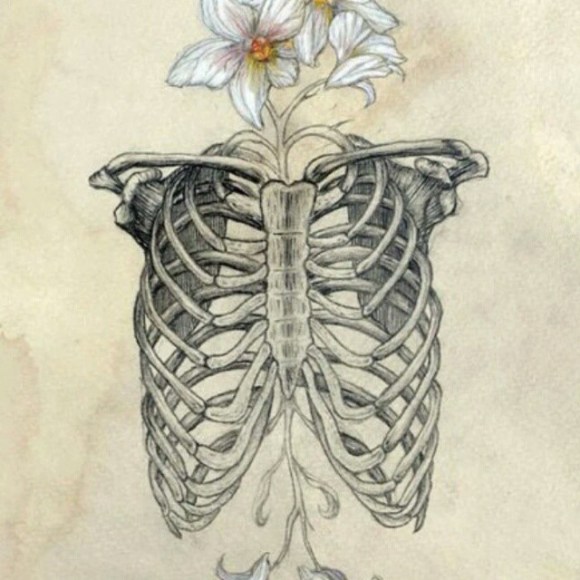 11430348_1643760355866138_1316197110_n