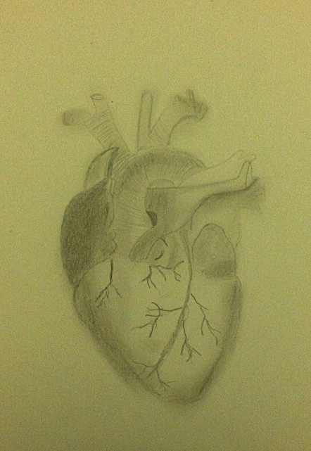 9337660f72d4bfabcc189d40f6913d06