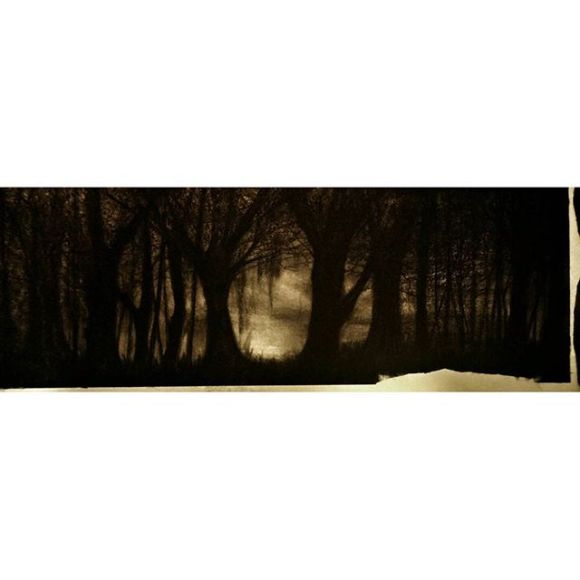  "In the Woods Somewhere" Justin Stewart #justart3i #art #artist #charcoal #drawing #illustration #sketch #doodle #hozier #inthewoodssomewhere #song #music #depression #lonliness #suicide #death #fear 